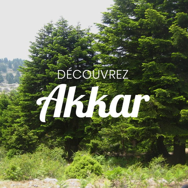 Explorez Akkar autrement grâce à un guide dédié aux expériences inoubliables