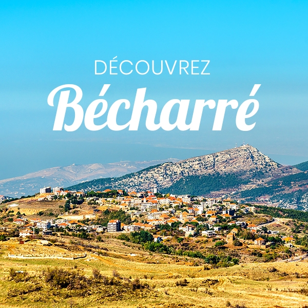 Explorez Bécharré autrement grâce à un guide dédié aux expériences inoubliables