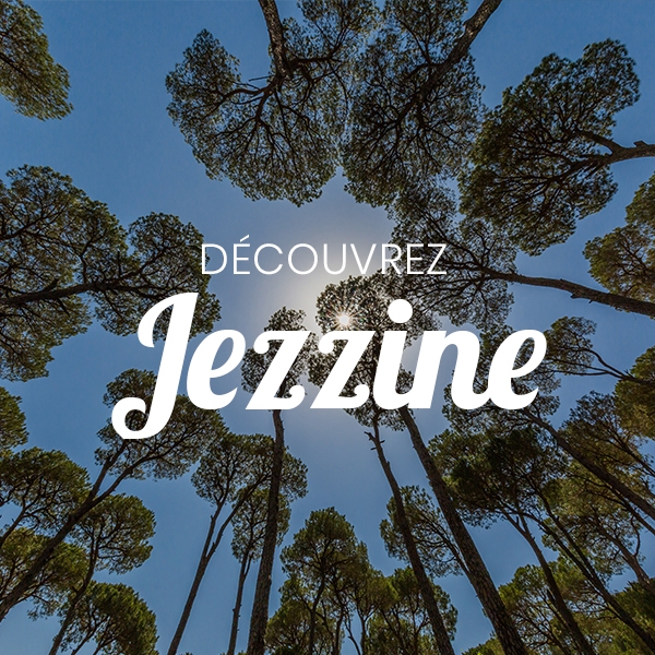 Prêt pour une expérience mémorable dans la région de Jezzine ?